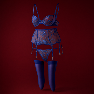 Paloma embroidered sheer bra, garter belt, thong and stockings in royal blue